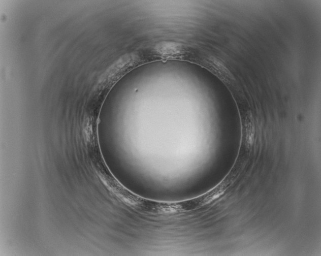X0000054470618200508011503