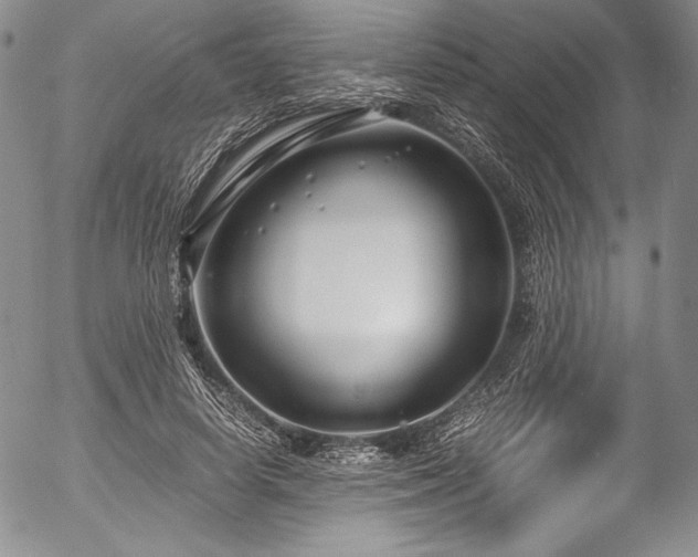 X0000054470642200508011502
