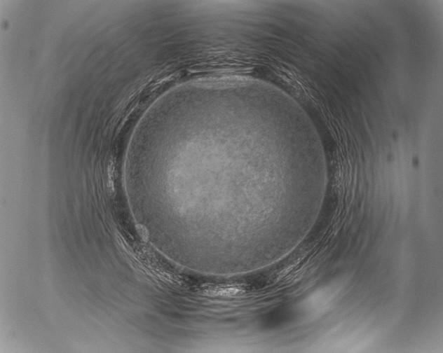 X0000054470643200508011502