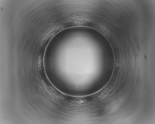X0000054470646200508011502