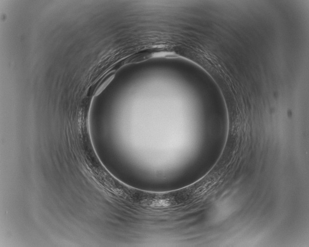X0000054470647200508011502