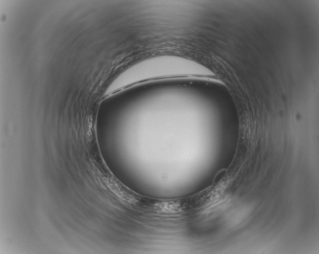 X0000054470660200508011502