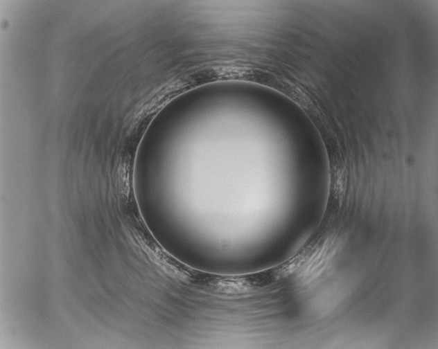 X0000054470666200508011502