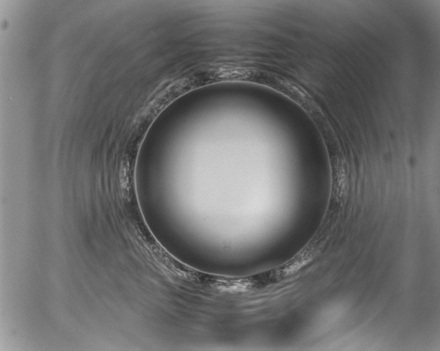 X0000054470667200508011502