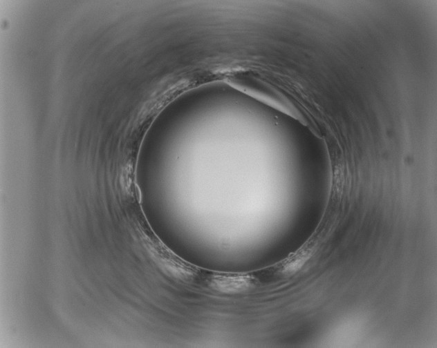 X0000054470671200508011502