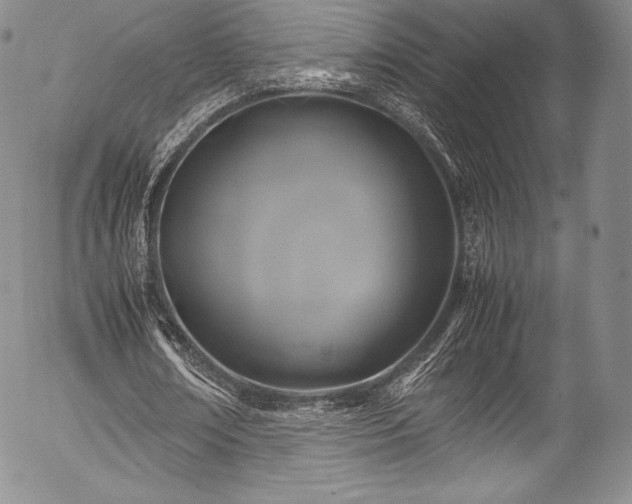 X0000054470674200508011502