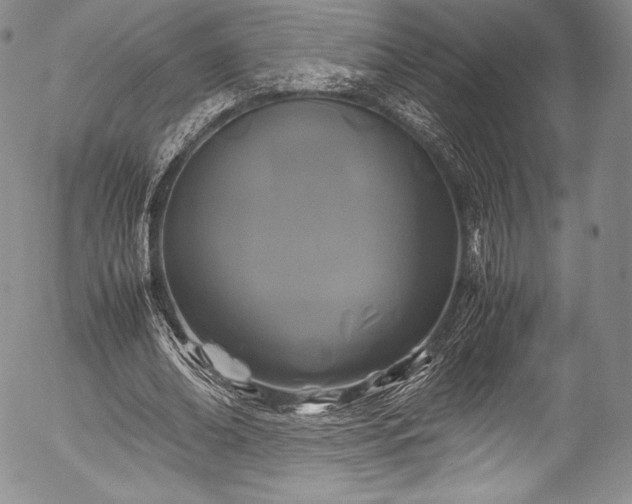X0000054470678200508011502