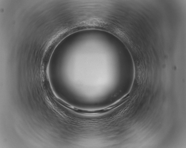 X0000054470680200508011502
