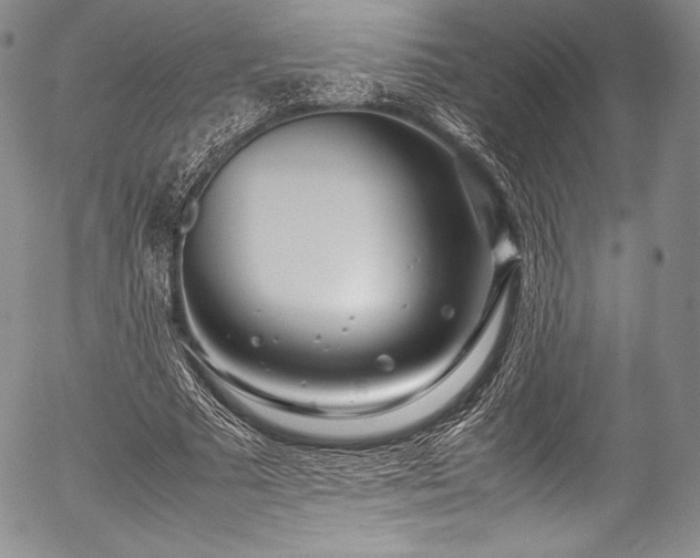 X0000054470681200508011502