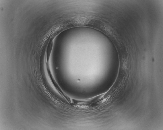 X0000054470685200508011501