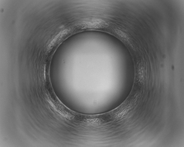 X0000054470686200508011501