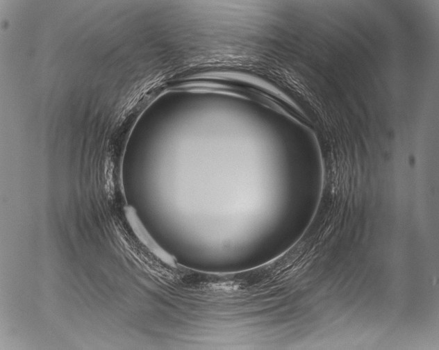 X0000054470692200508011501