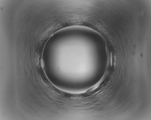 X0000054470693200508011501