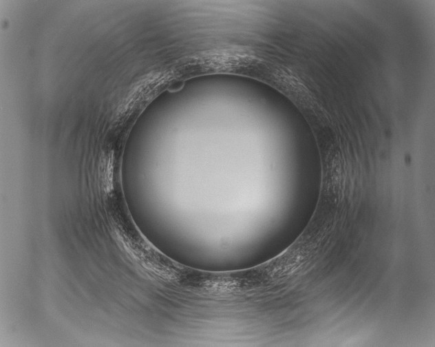 X0000054470694200508011501