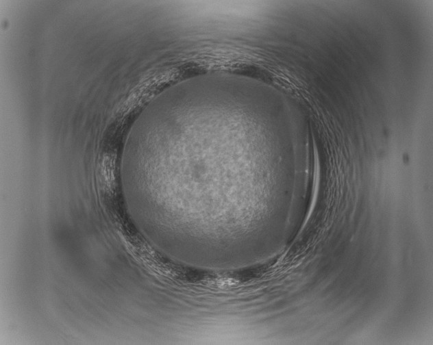 X0000054470695200508011501