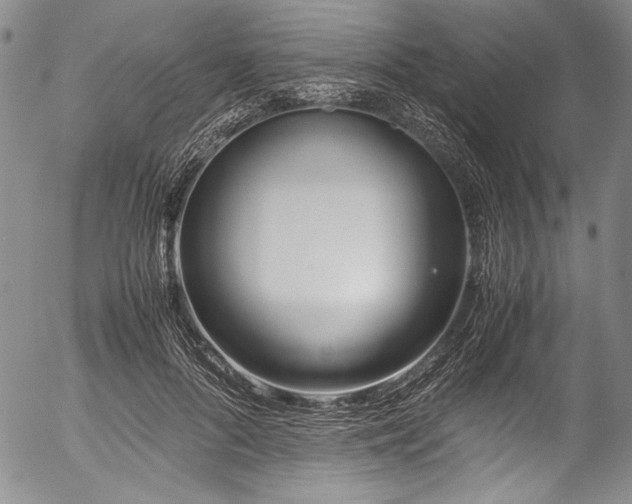 X0000054470696200508011501