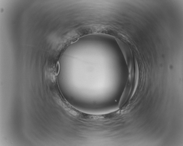 X0000054470719200508011501