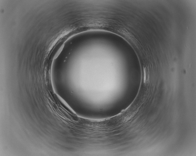X0000054470723200508011500