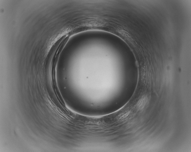 X0000054470727200508011500