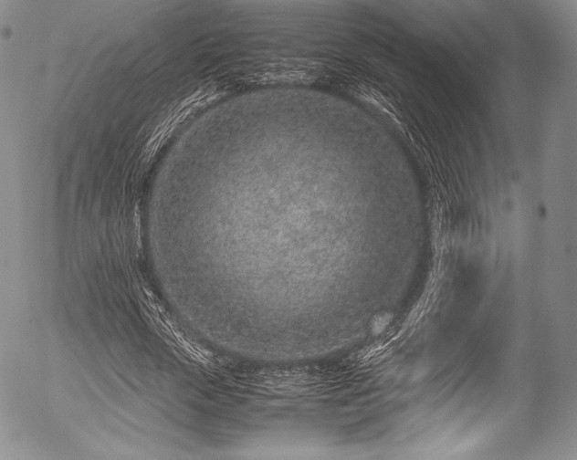 X0000054470729200508011500