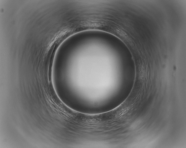 X0000054470731200508011500