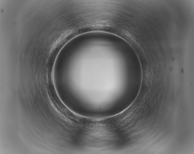 X0000054470734200508011500