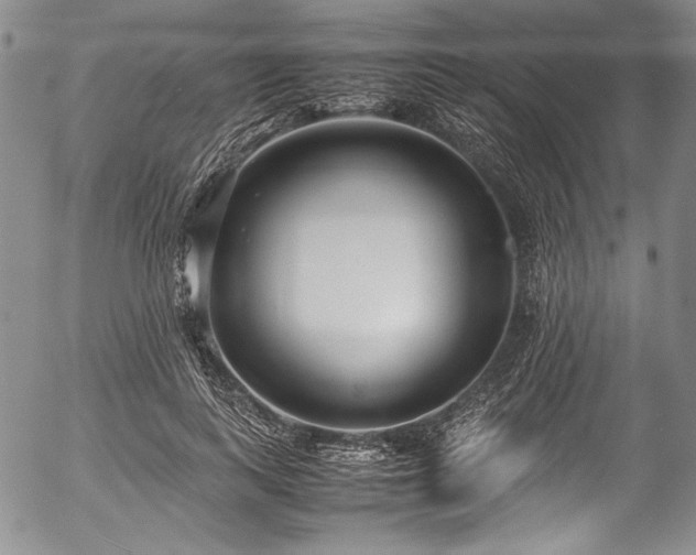 X0000054470743200508011500