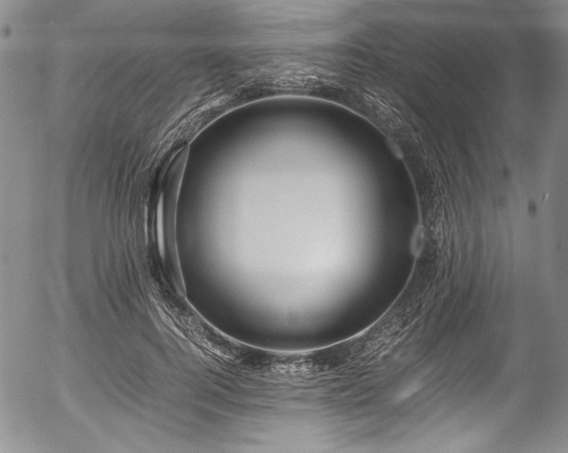 X0000054470744200508011500