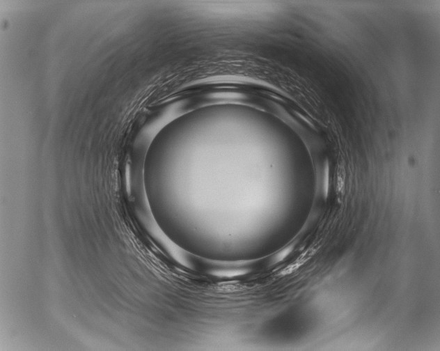 X0000054470750200508011501