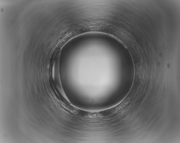 X0000054470752200508011501