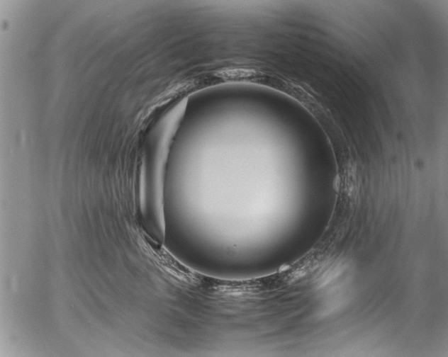X0000054470763200508011501