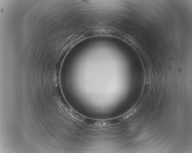X0000054470764200508011501