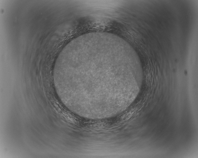X0000054470769200508011500