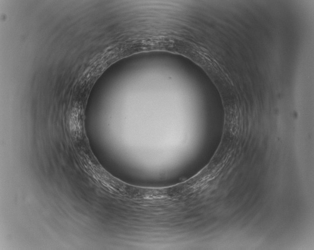 X0000054470770200508011500