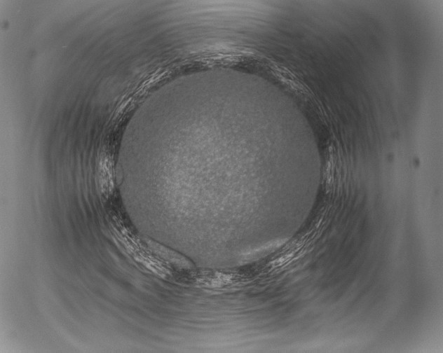 X0000054470772200508011500