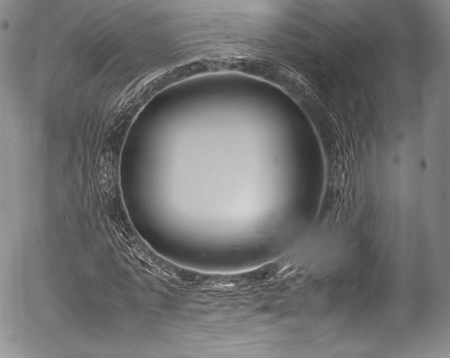 X0000054470773200508011500