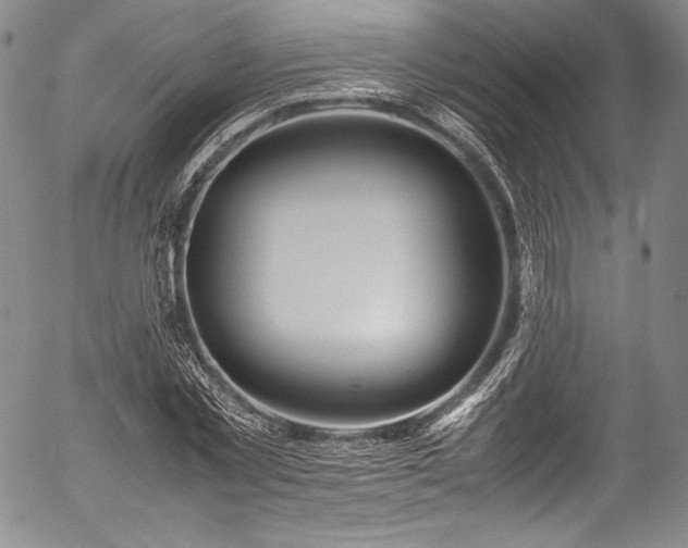 X0000054470781200508011500
