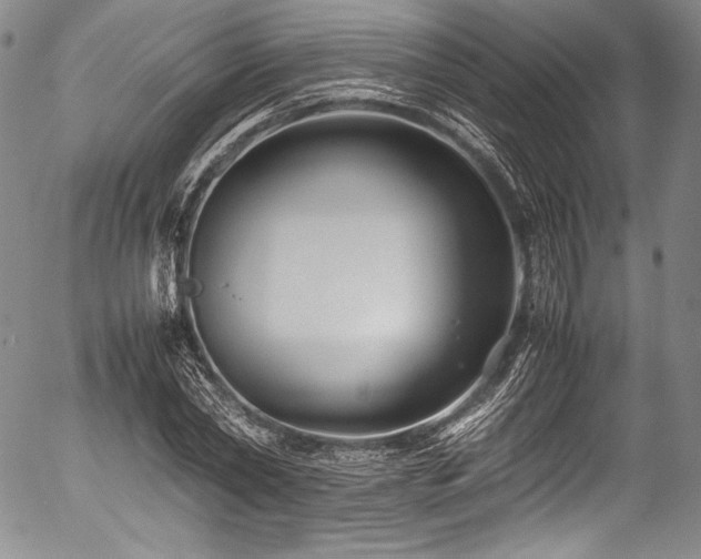 X0000054470782200508011500