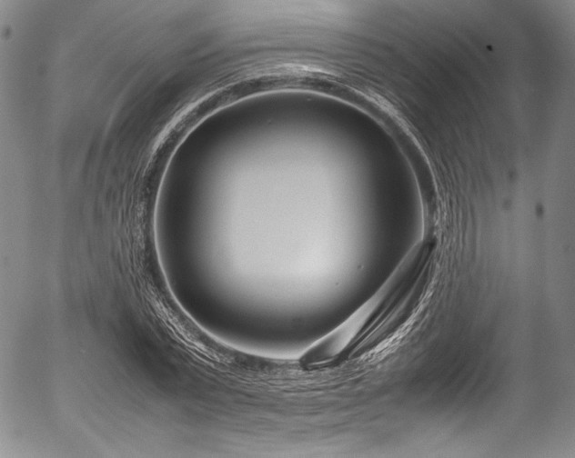 X0000054470783200508011500