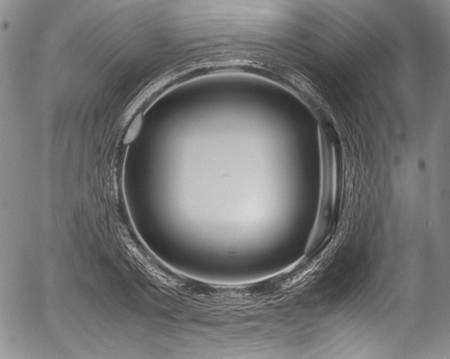 X0000054470789200508011500