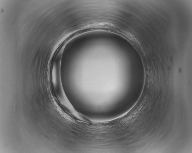 X0000054470792200508011500