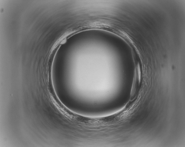 X0000054470795200508011500