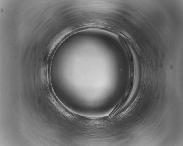 X0000054470796200508011500