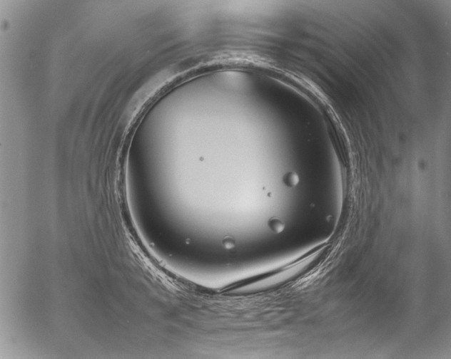 X0000054470799200508011459