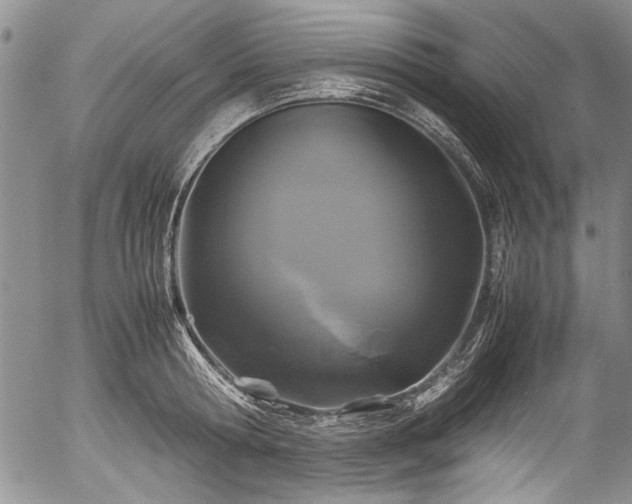 X0000054470802200508011459