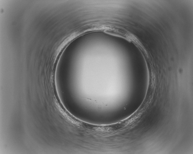 X0000054470805200508011459