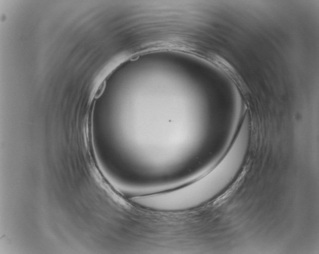 X0000054470812200508011459