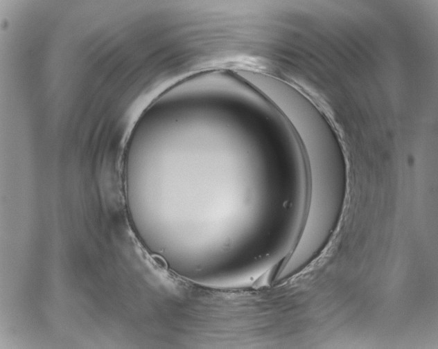 X0000054470816200508011459