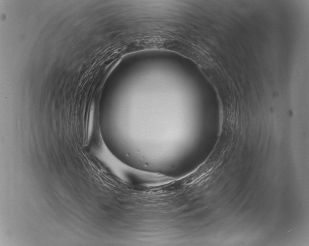 X0000054470818200508011458