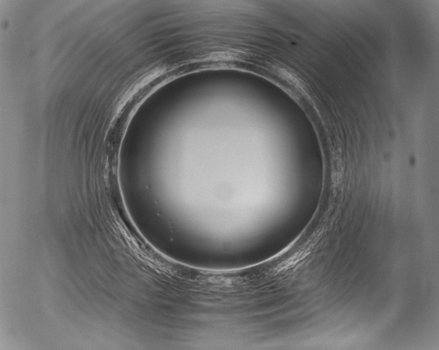 X0000054470827200508011459